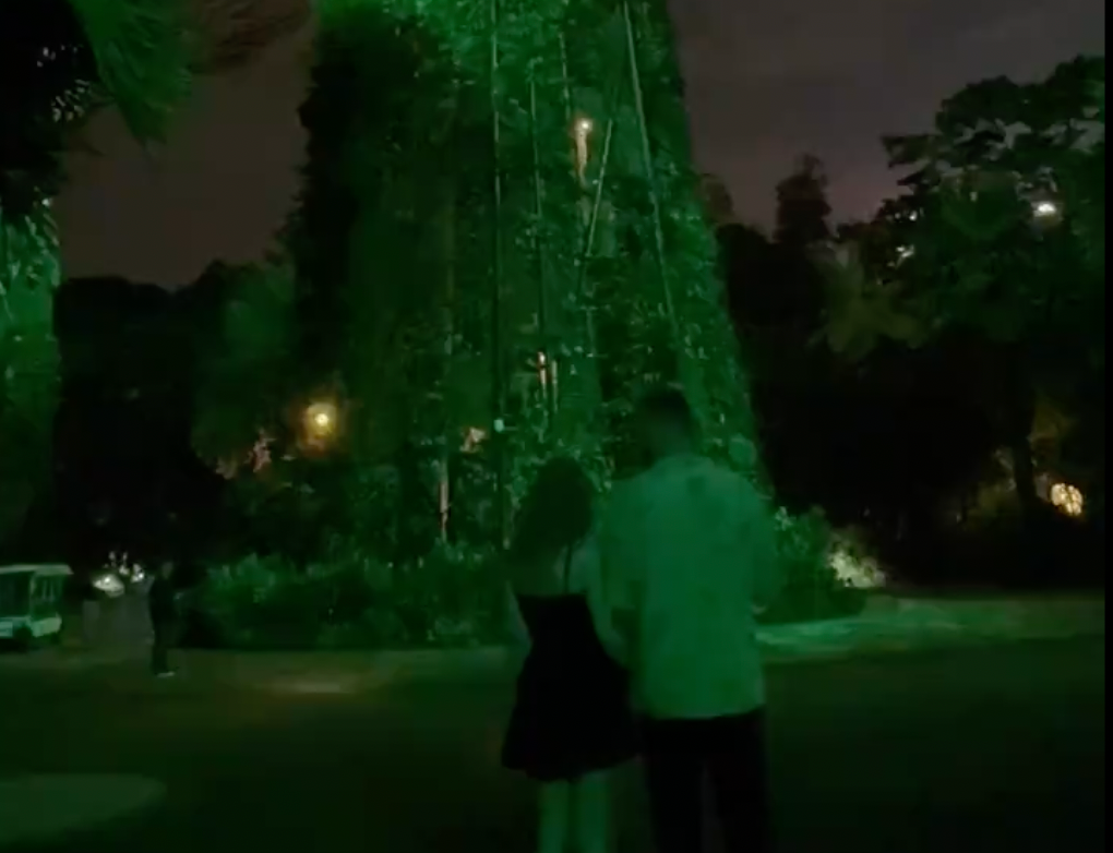 Taylor Swift and Travis Kelce #ForAFortnightChallenge.