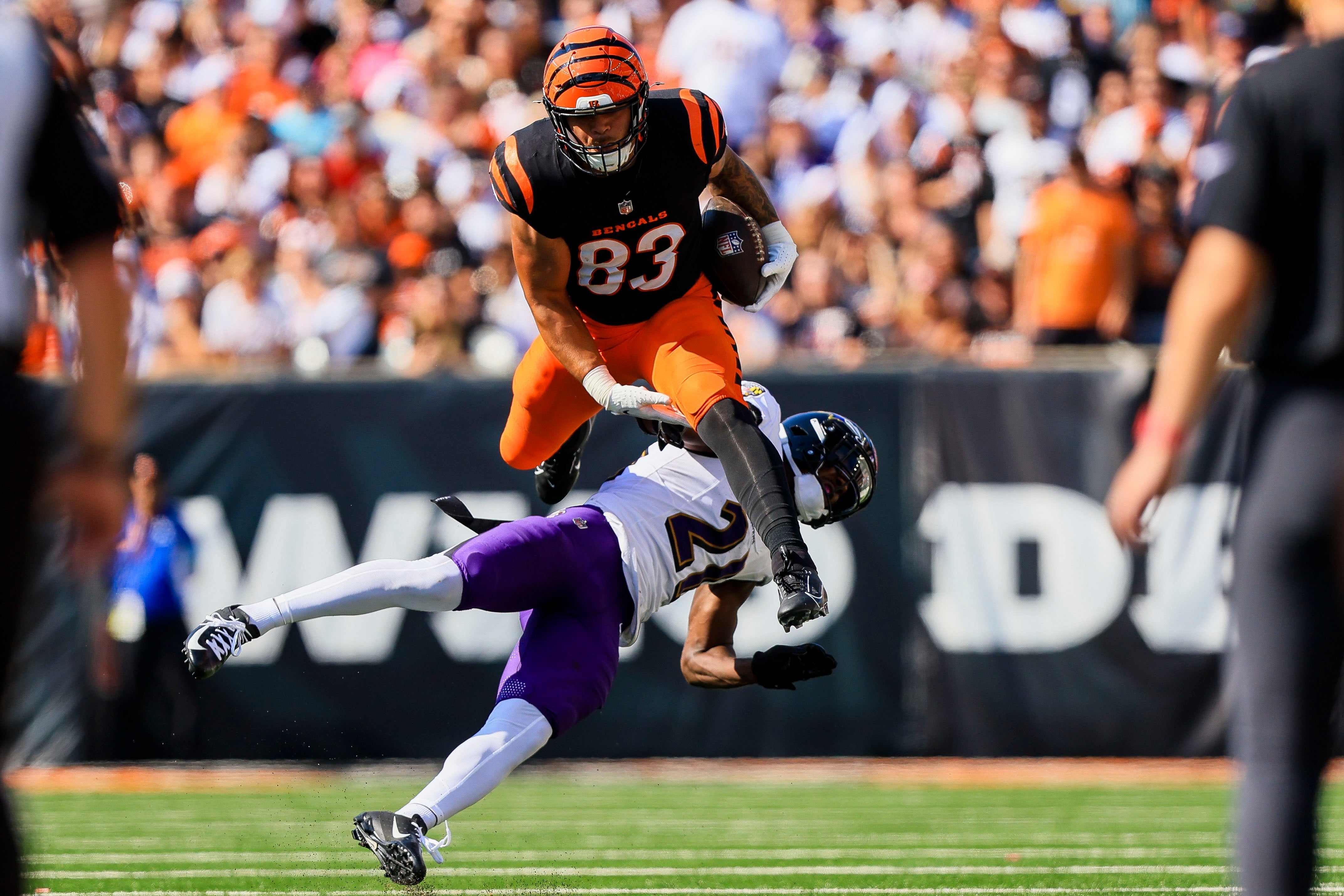 Bengals TE Erick All Jr. hurdles over Ravens cornerback Brandon Stephens.
