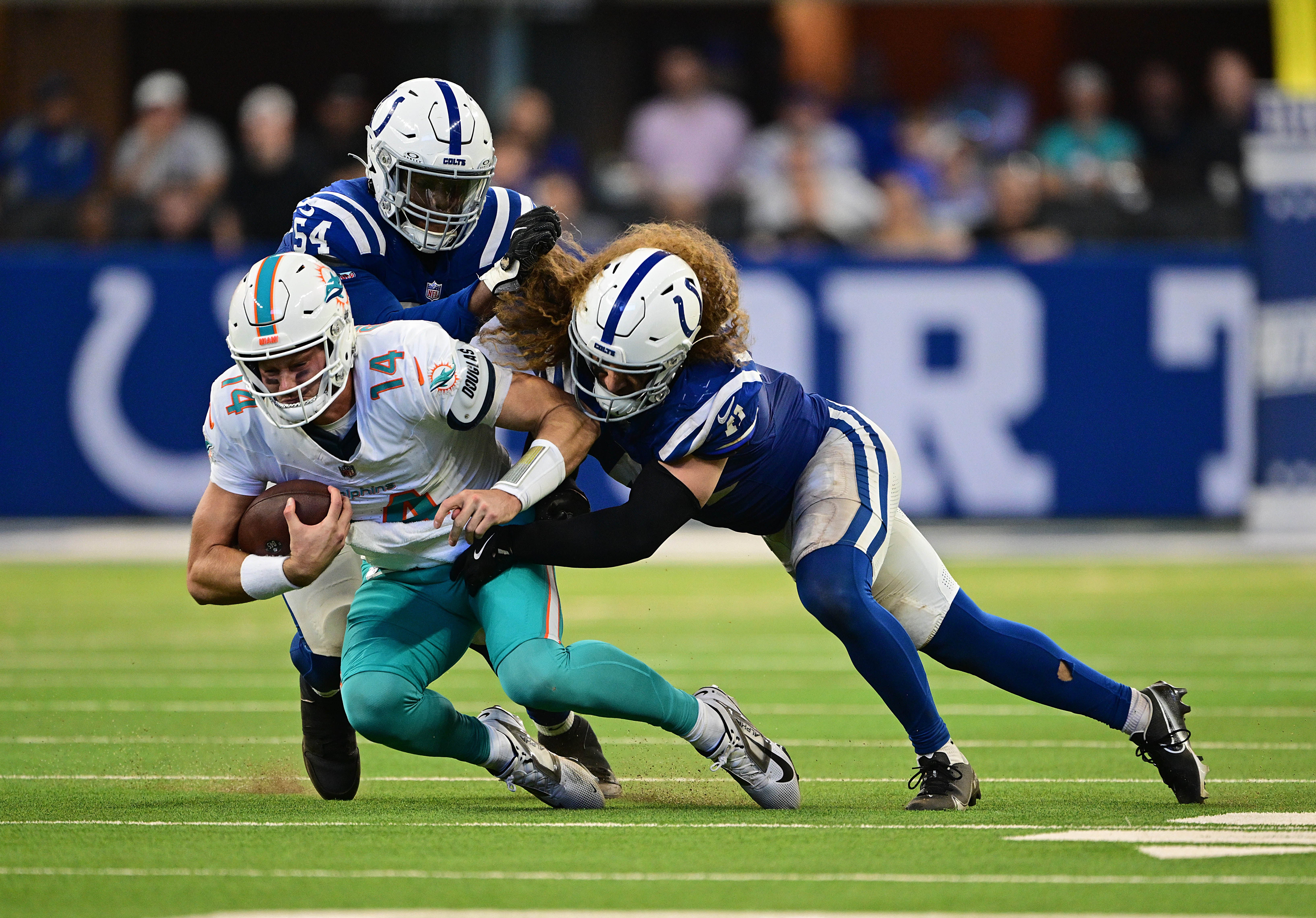Oct 20, 2024; Indianapolis, Indiana, USA; Miami Dolphins quarterback Tim Boyle (14) is tackled by Indianapolis Colts defensive end Dayo Odeyingbo (54) and linebacker Grant Stuard (41) during the second half at Lucas Oil Stadium.