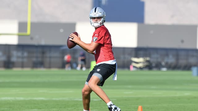 Las Vegas Raiders offseason: Brian Hoyer holding down the fort