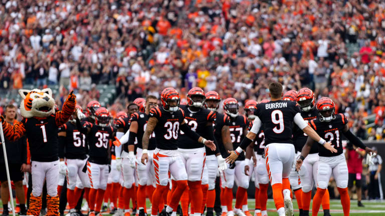 nfl bengals team