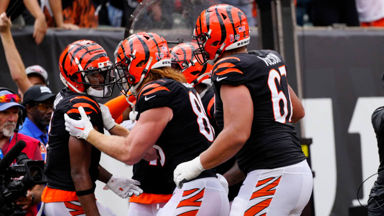 Cincinnati Bengals - Seasons 