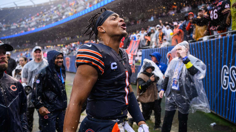 bears nfc north champions