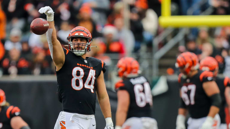 Cincinnati Bengals tight end Mitchell Wilcox (84) stands on the field prior  to an NFL football