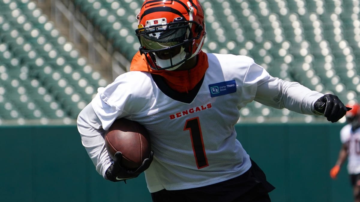 Bengals reveal important offseason information - A to Z Sports