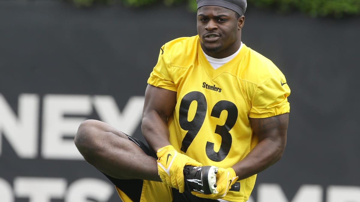 Steelers Rookie LB Robinson Makes Mark vs Ravens