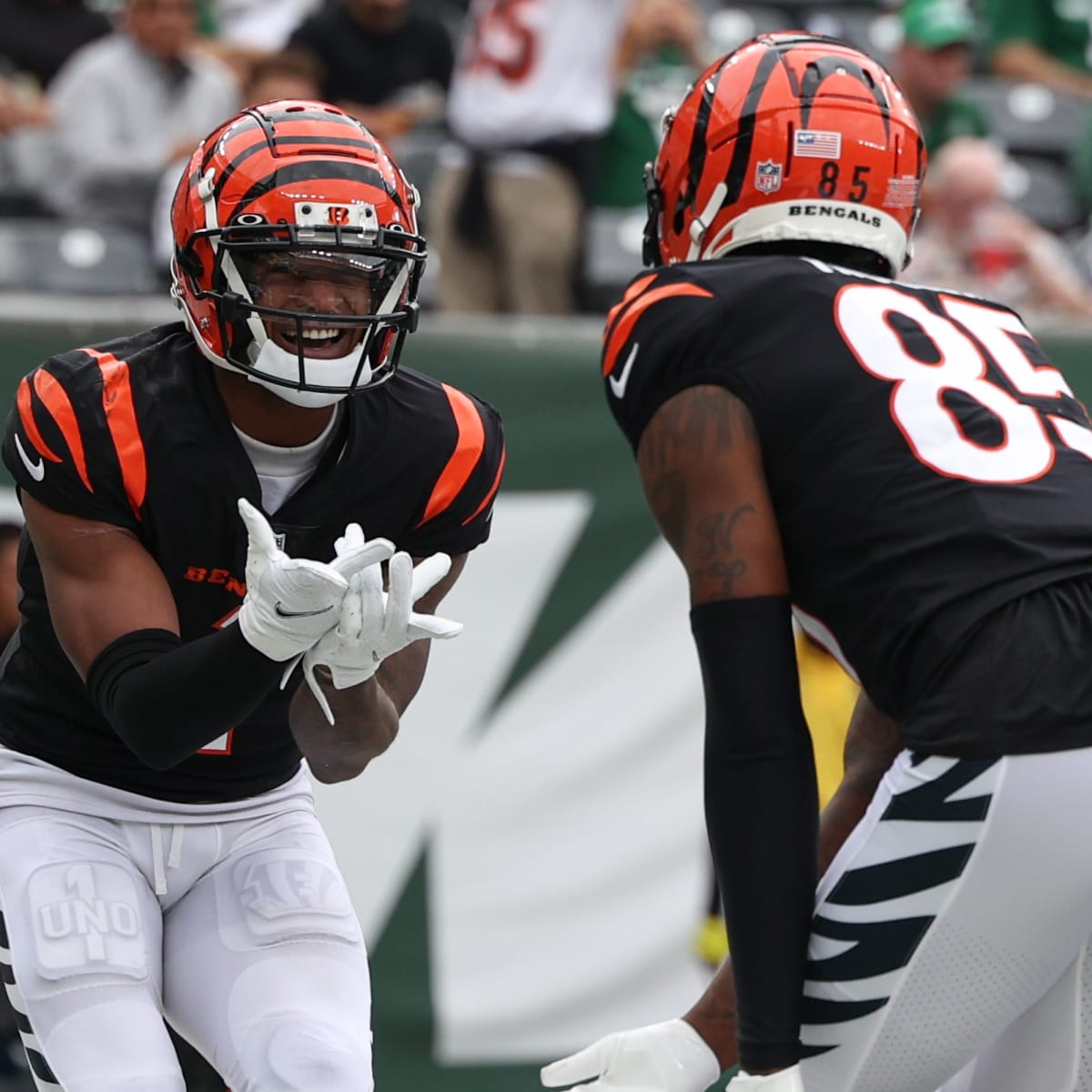 Bengals likely to luck out from an unfortunate fate this season - A to Z  Sports