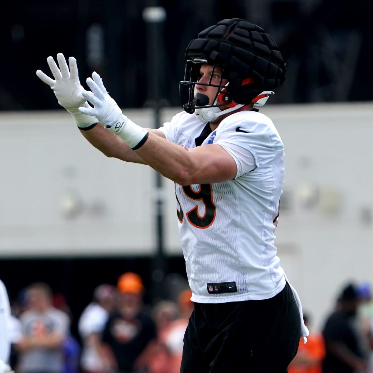 Bengals' TE Drew Sample tabbed as 2021 breakout candidate - Cincy