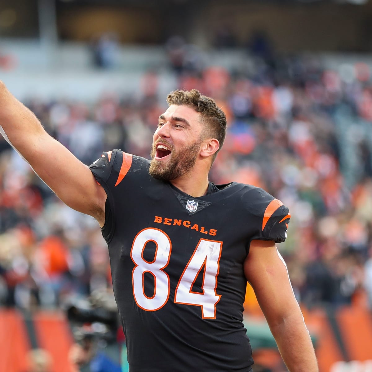 Bengals re-sign Mitchell Wilcox and place him on PUP - BVM Sports