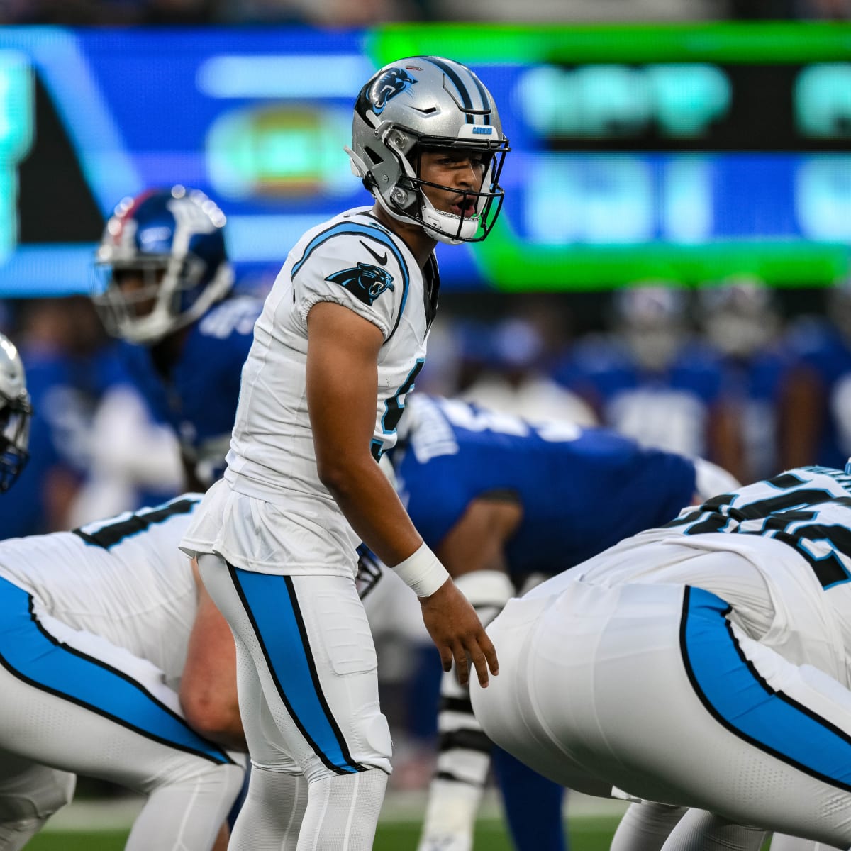 Panthers 17 Lions 26: Bryce Young looks sharp in preseason finale - Cat  Scratch Reader