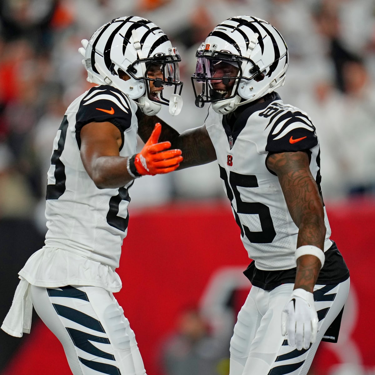 Ring of Honor, 'White Bengal' helmet: What to know for Bengals vs. Dolphins  game