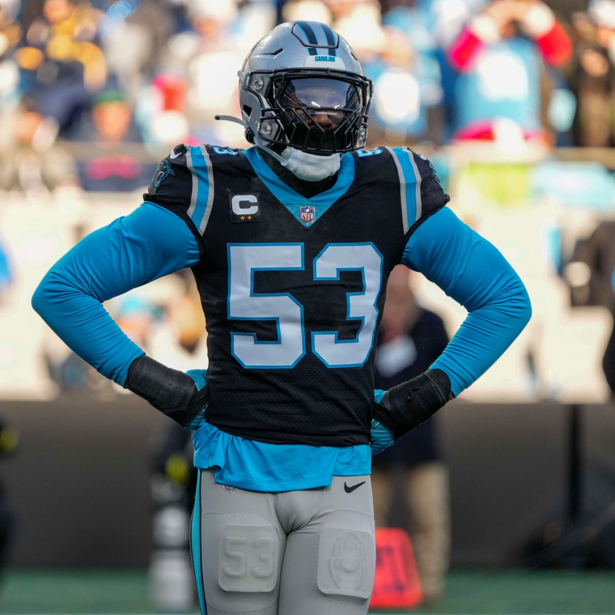 carolina panthers 53