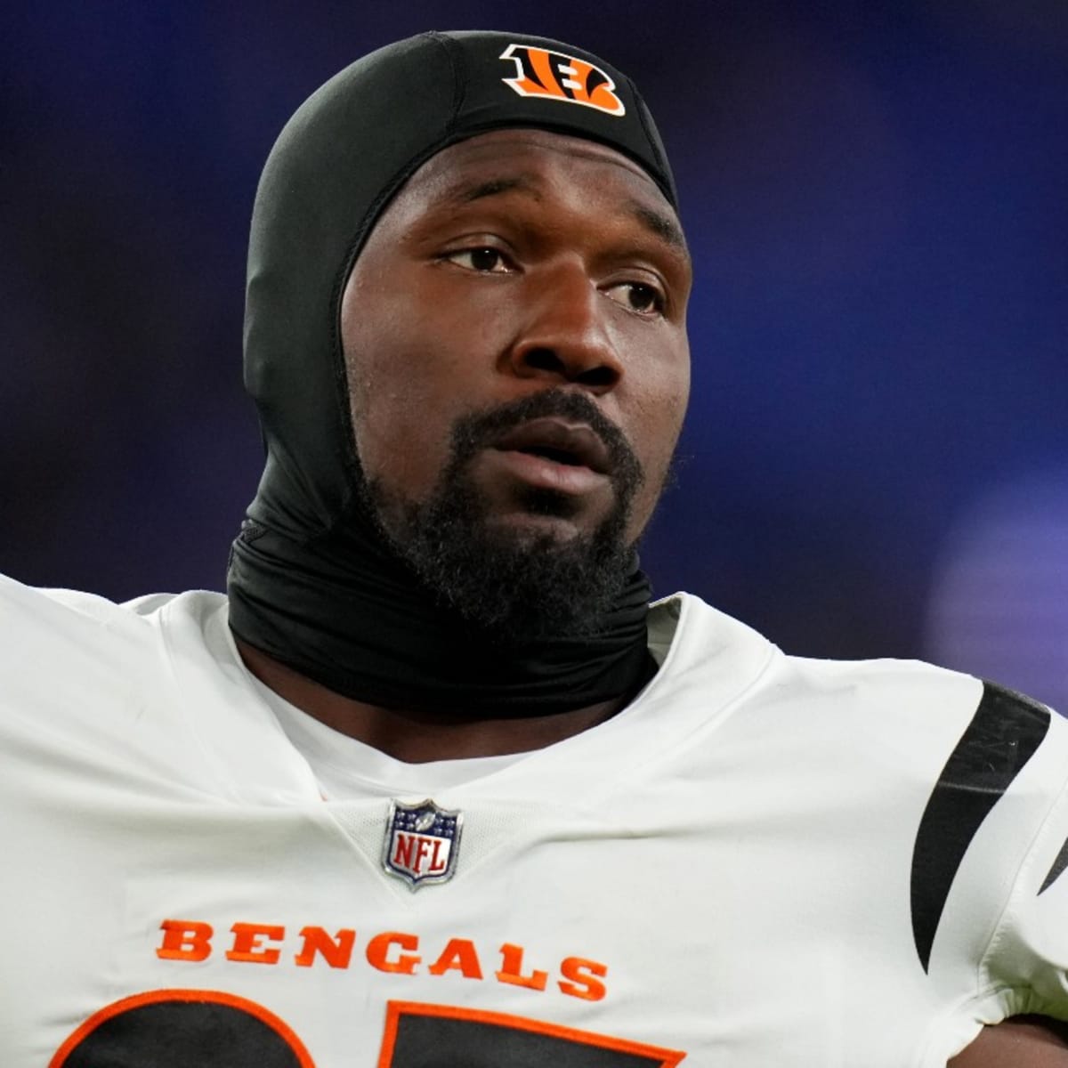 Bengals defensive tackle Zach Carter is on the verge of a breakout