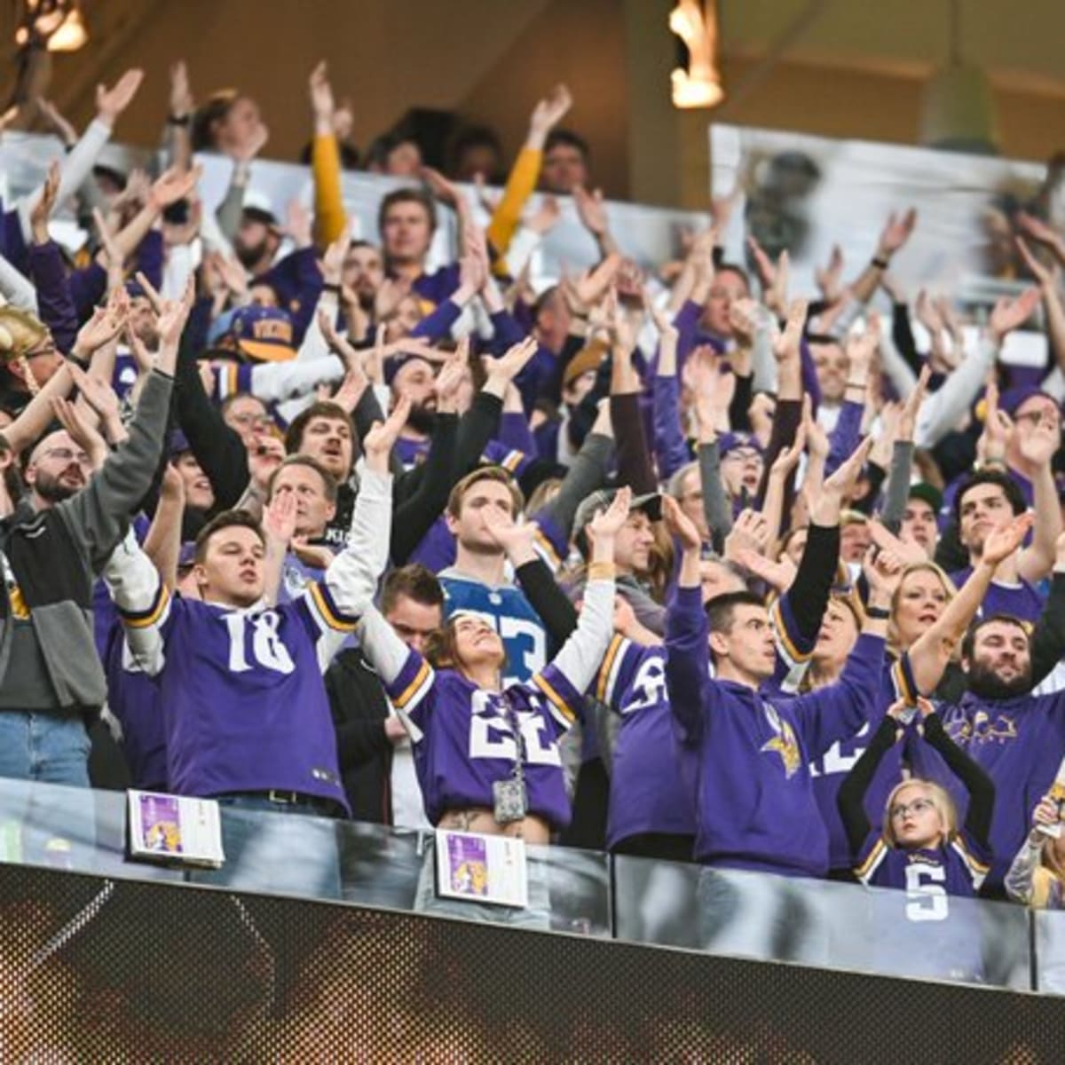 Minnesota Vikings Winter Whiteout –