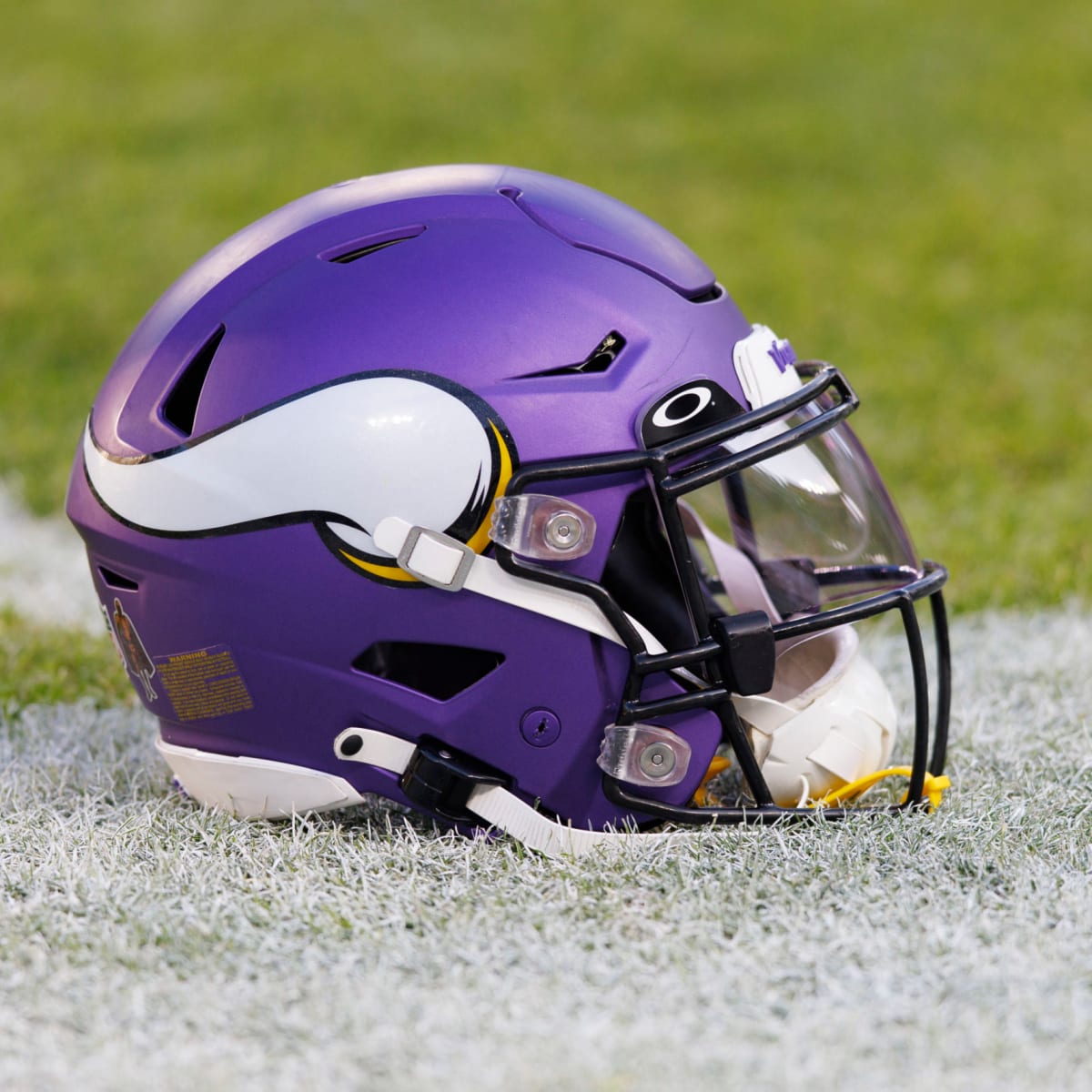 Vikings add two more coaches to incoming staff - Daily Norseman