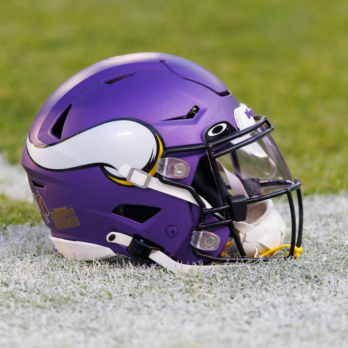 Minnesota Vikings 2022 NFC North division Champions matchup city