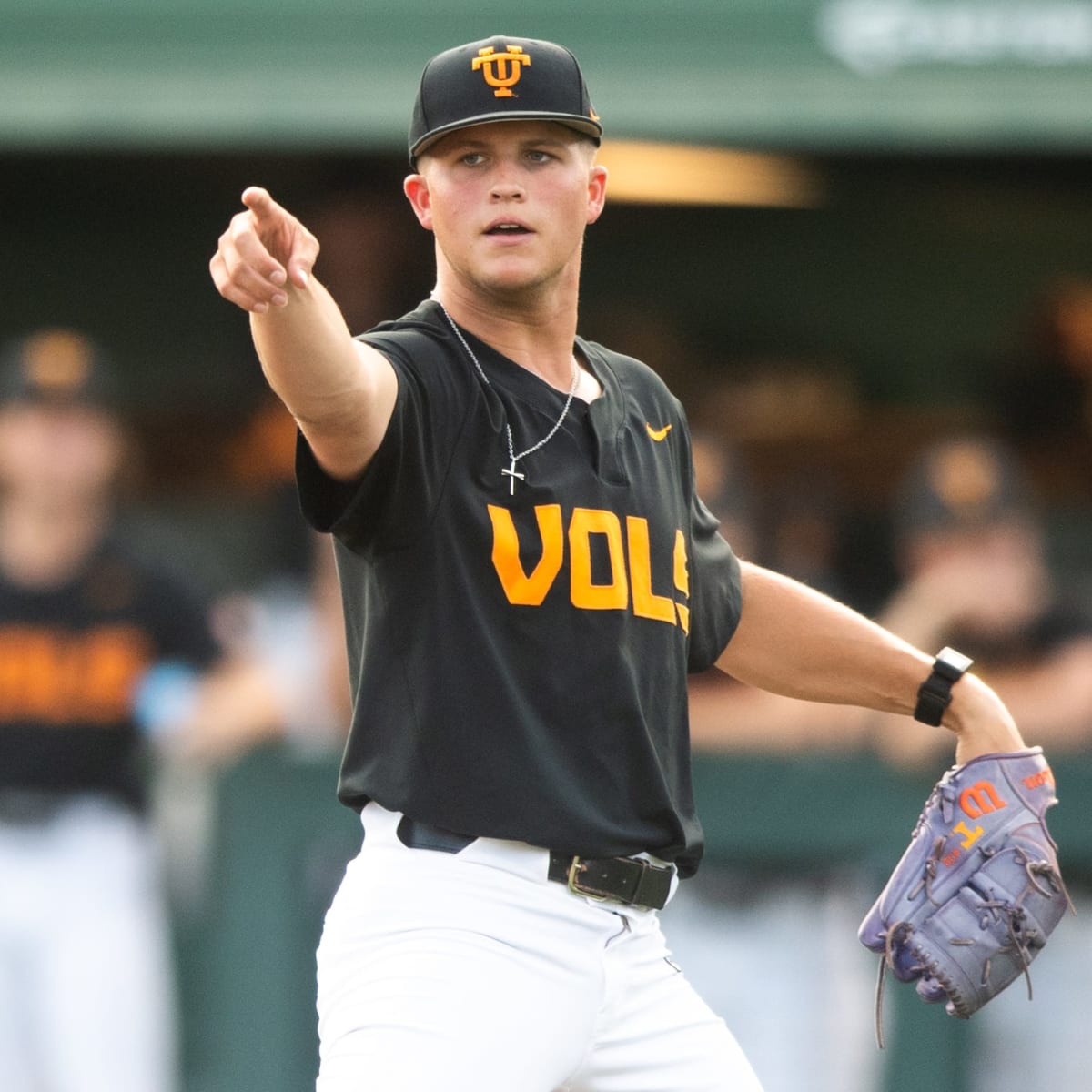 Baseball Vols to face outside competition this fall