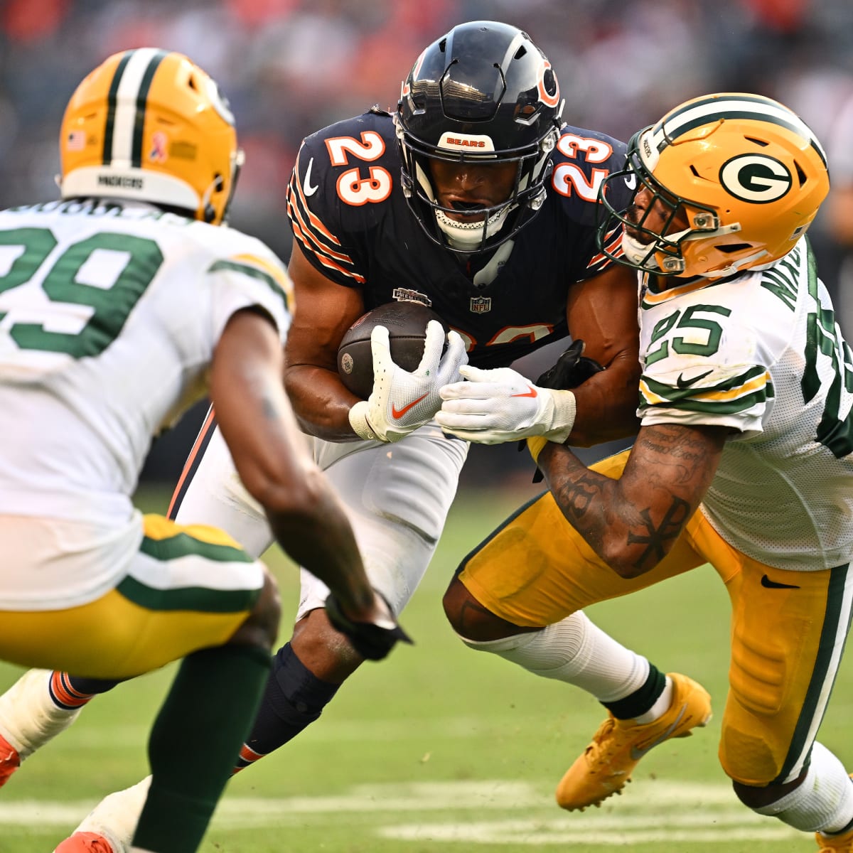 Packers Snap Counts Versus The Bears: Week Thirteen