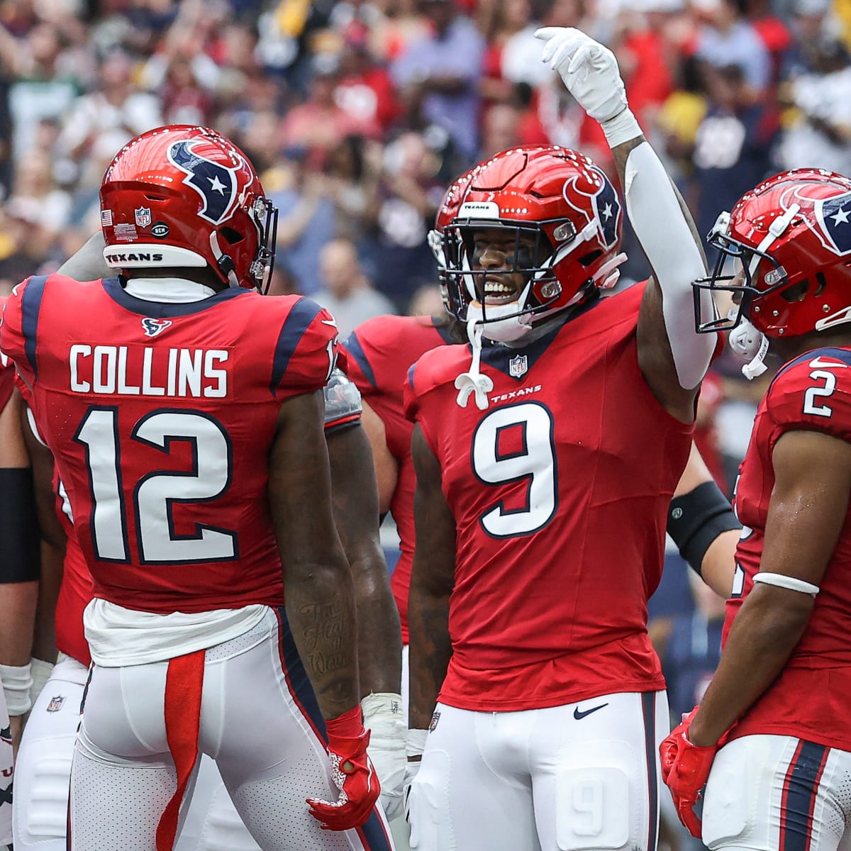 Who are the Texans leading rushers in 2021 after 11 games?