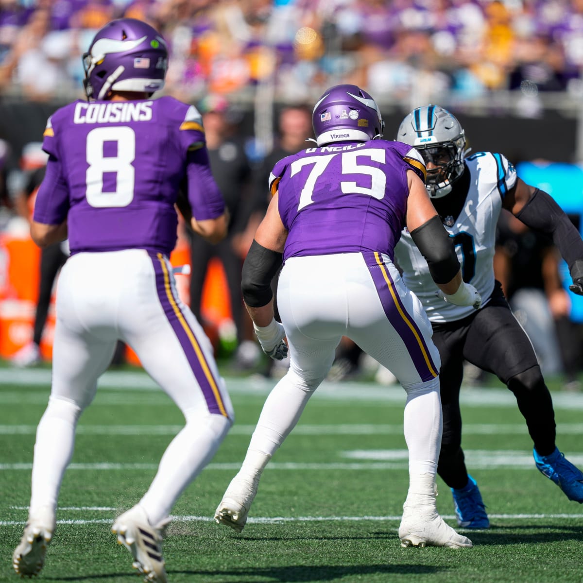 Vikings get 5 sacks, defeat Panthers 21-13