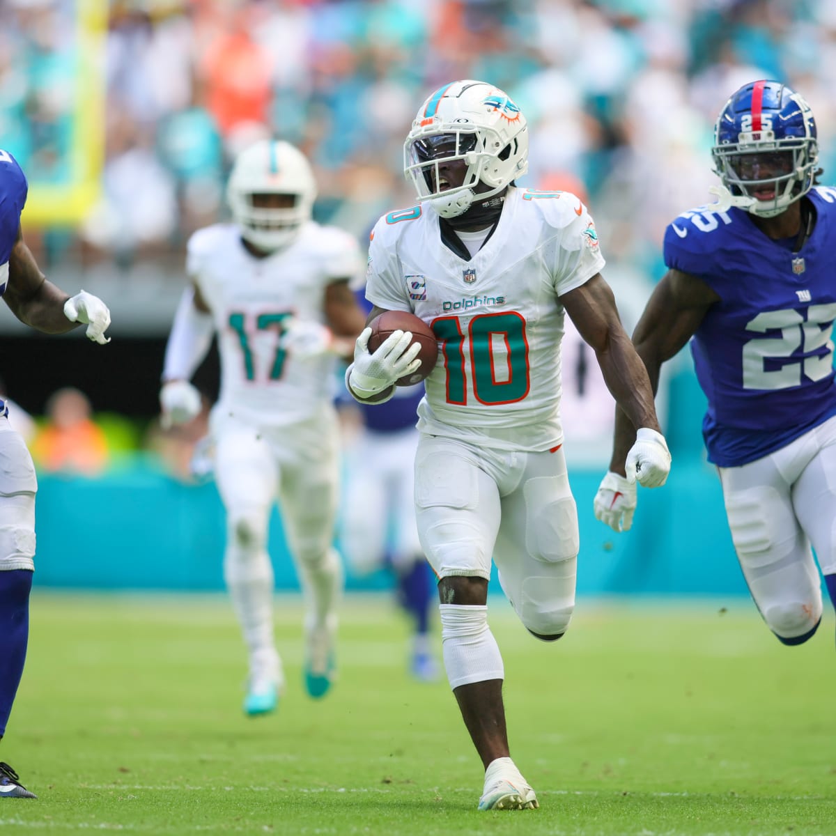 Dolphins the new greatest show on turf, Sports