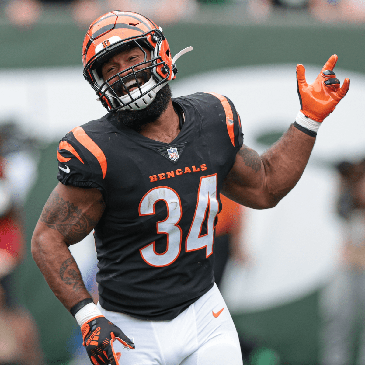 Jets' Quinnen Williams explains sideline screaming match with assistant  coach during loss to Bengals 