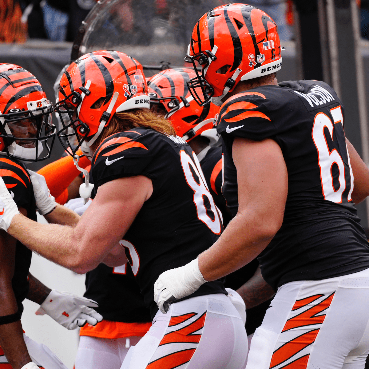 Cincinnati Bengals fans should stand tall despite Super Bowl loss