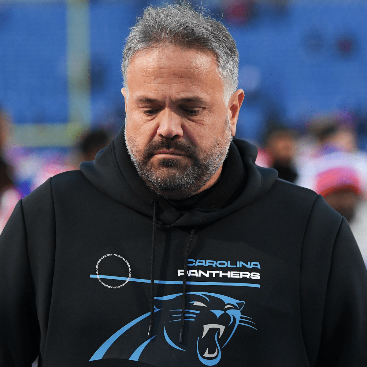 Carolina Panthers Head Coach Salary And Coaching Staff