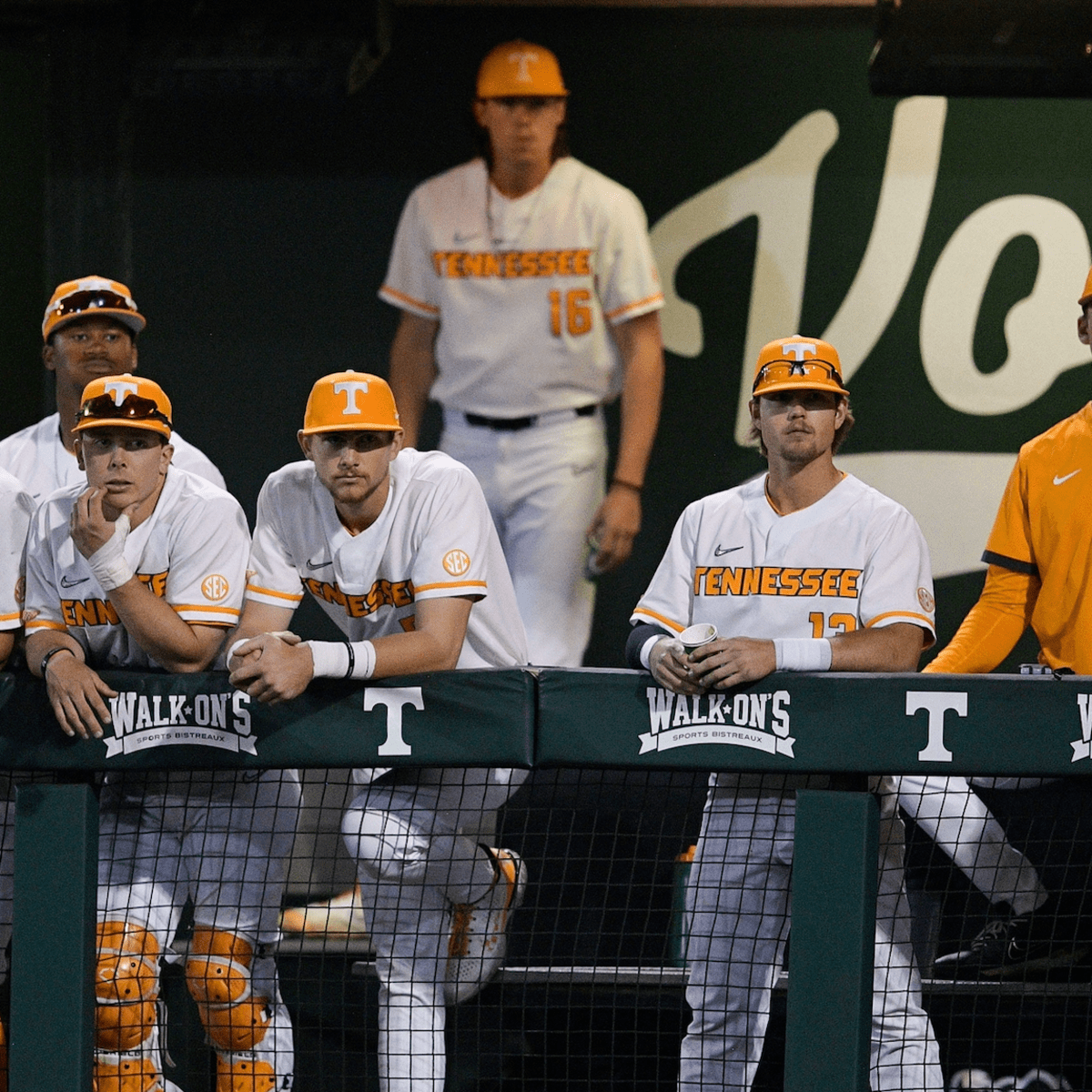 Tennessee Volunteers and Florida Gators baseball