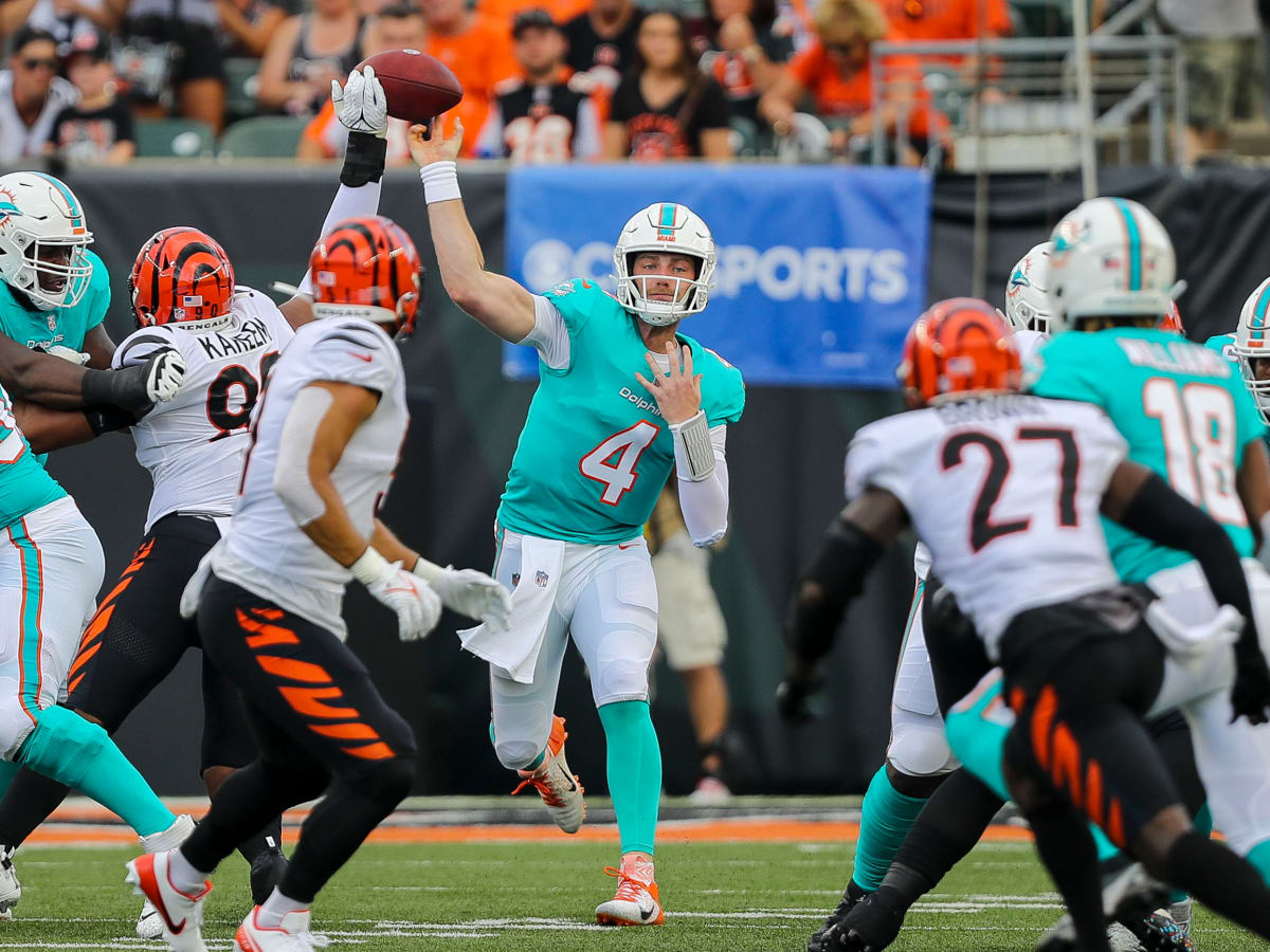 bengals against dolphins