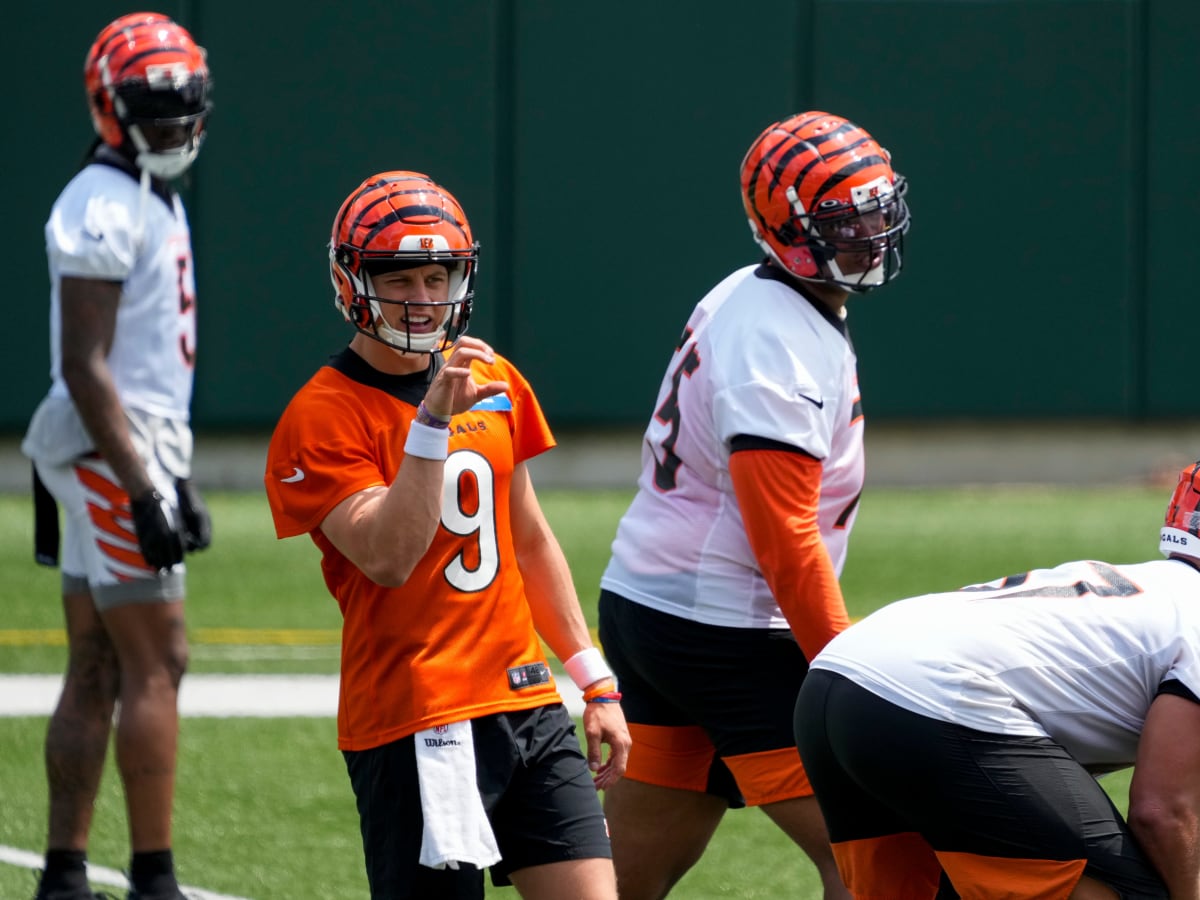 Bengals roster projection: Summer vacation edition - Cincy Jungle