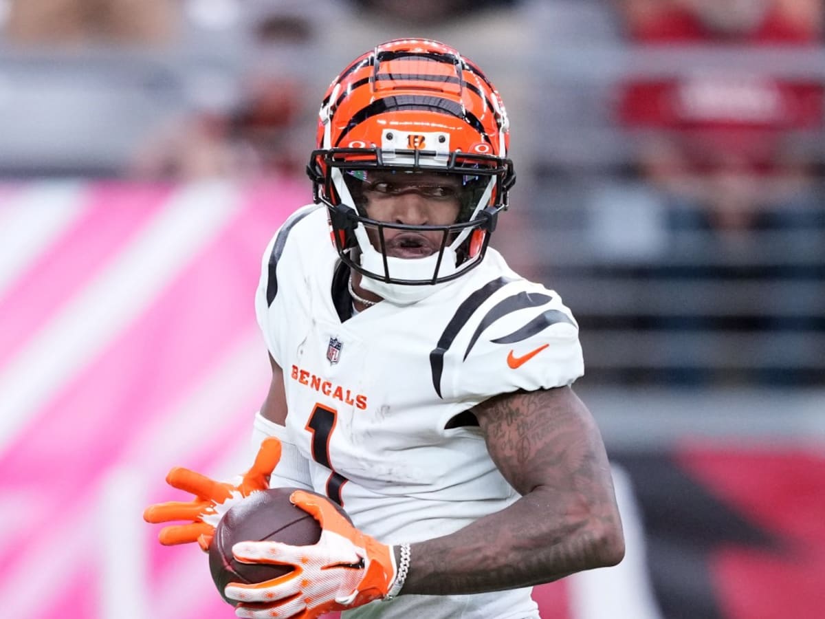 Cincinnati Bengals - Cincinnati Bengals wide receiver Terrell