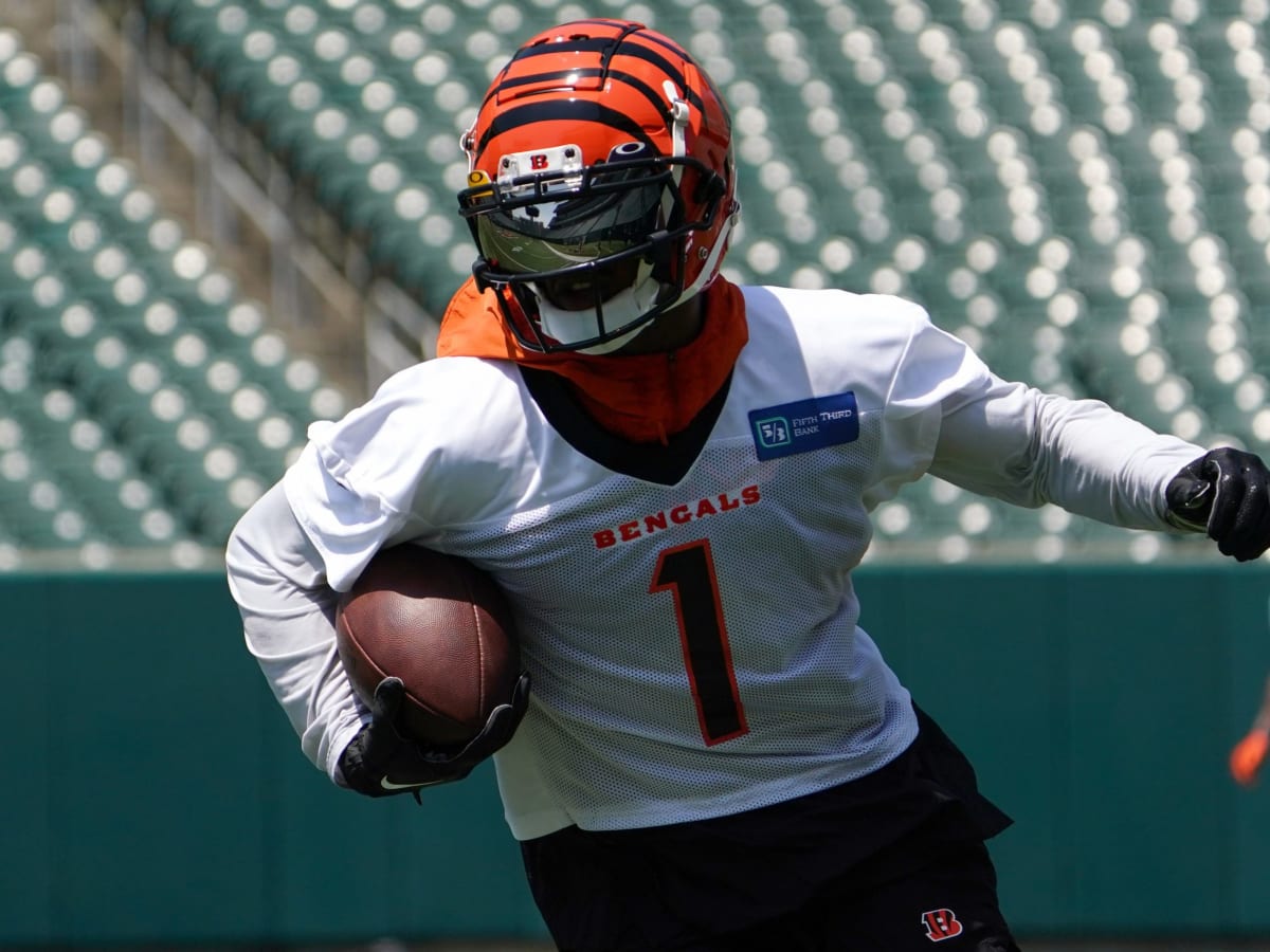 Bengals reveal important offseason information - A to Z Sports