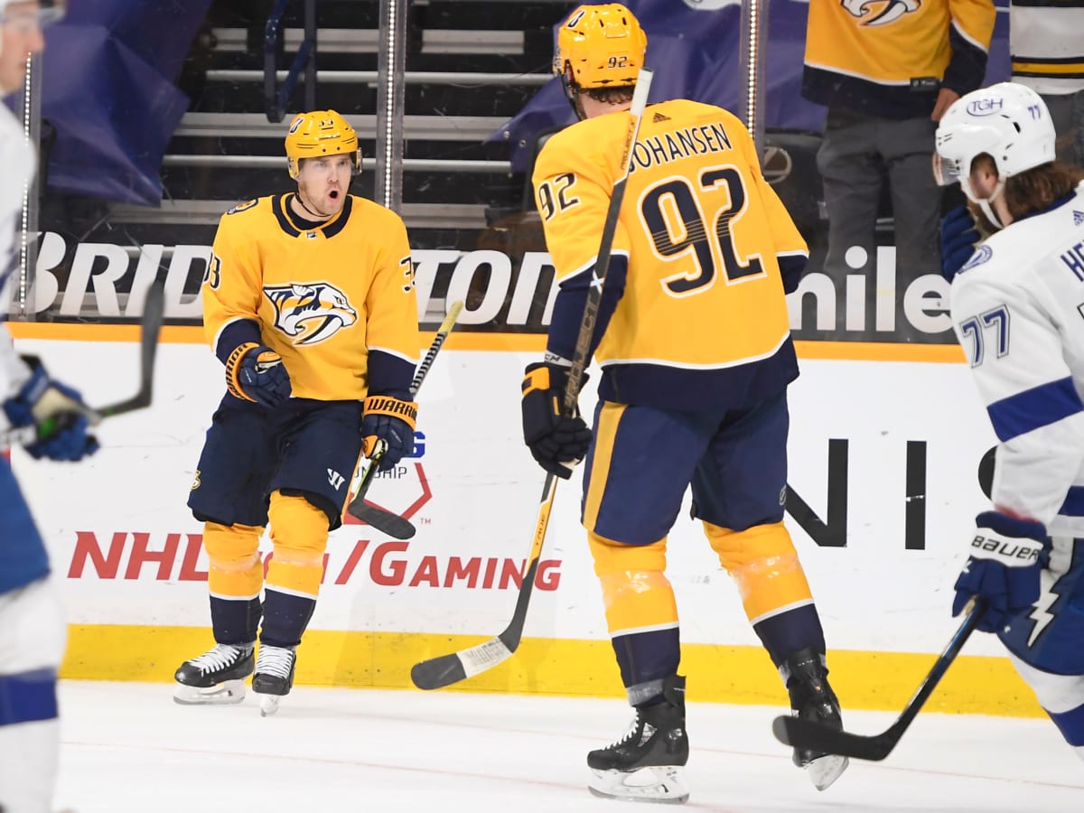 Nashville Predators Meet Tennessee Titans: Nashville Will Host the 2022 NHL  Stadium Series - A to Z Sports