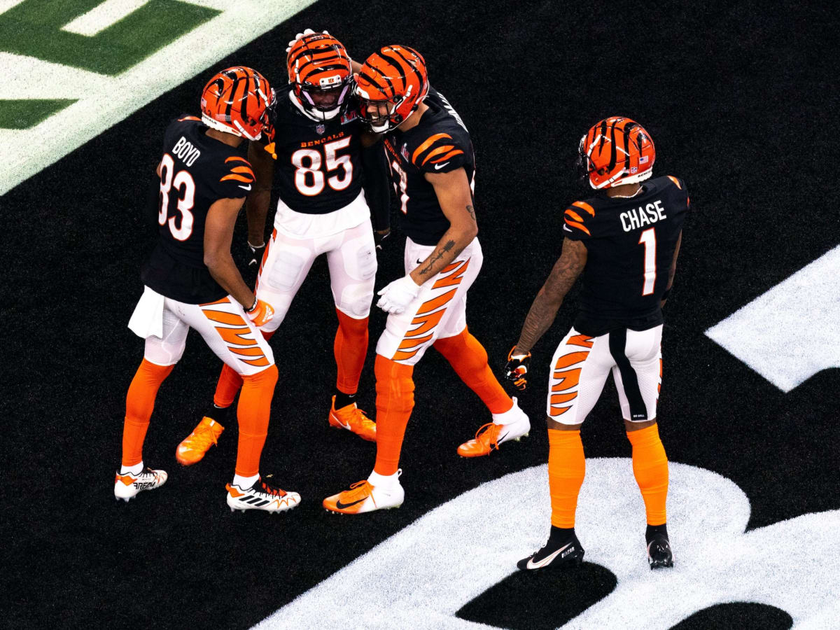 Bengals win AFC North, AFC Championship Game possibly at neutral