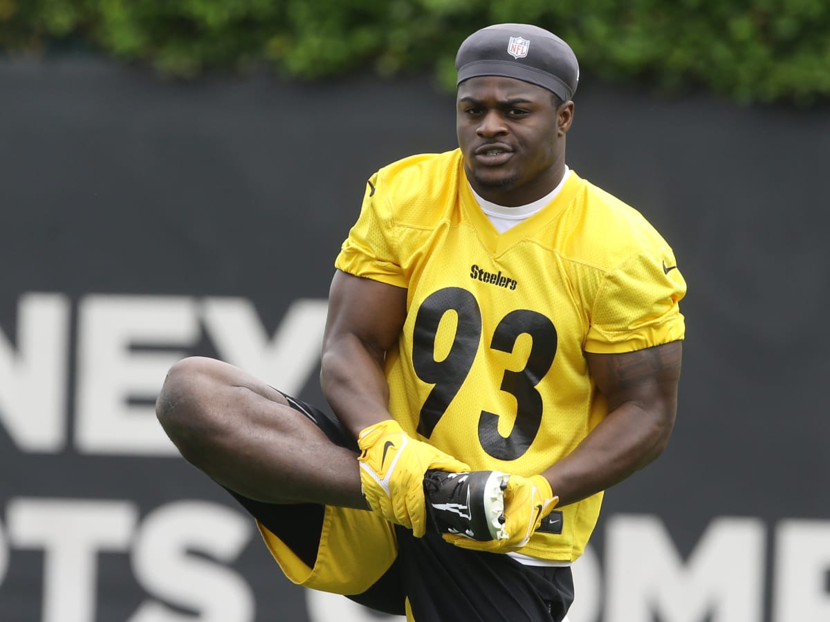 NFL insider Adam Caplan likes what he sees from Steelers' Mark Robinson - A  to Z Sports