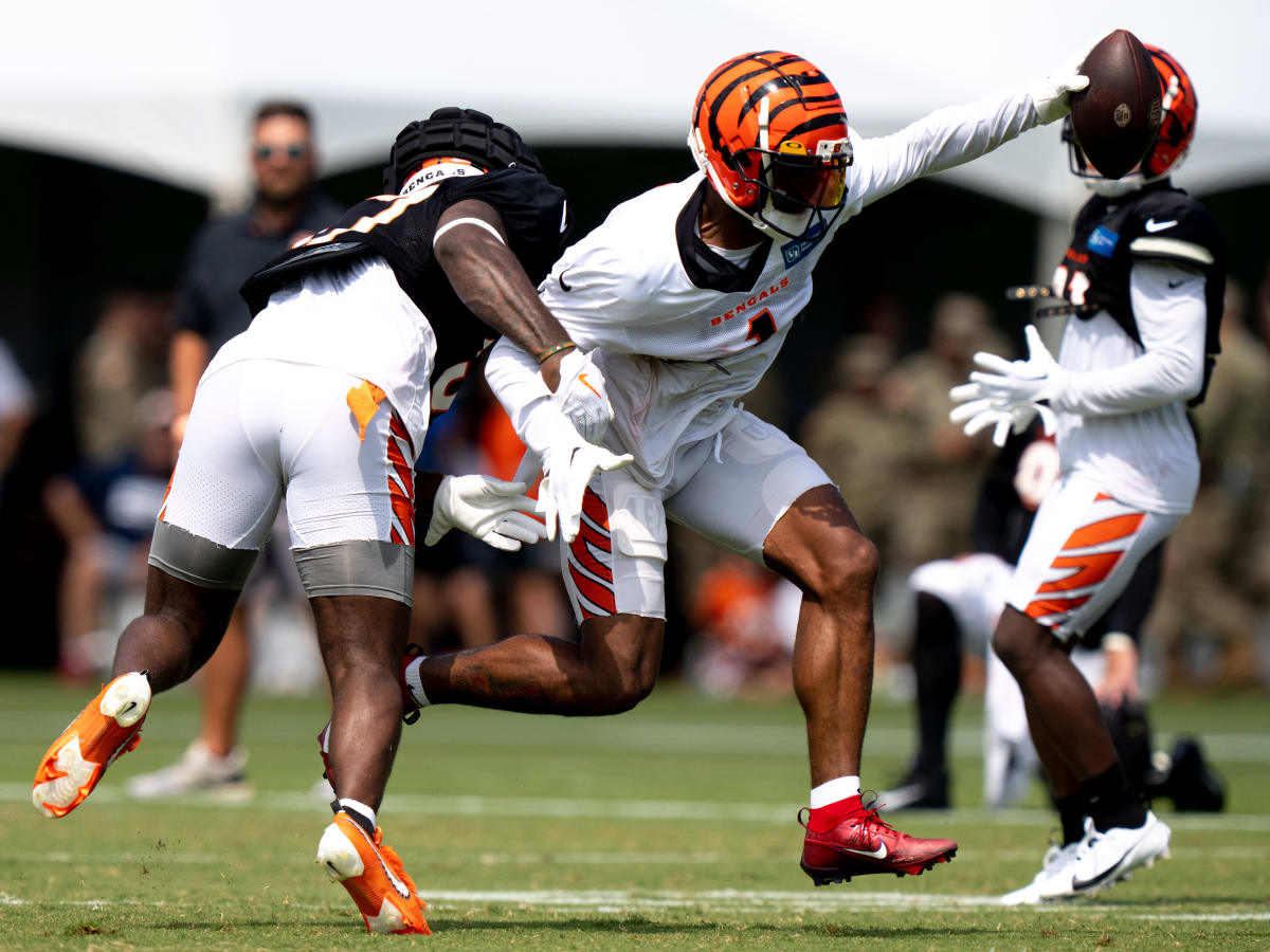 Cincinnati Bengals Star Ja'Marr Chase the Best Rookie Wide Receiver Ever?  Former Pro Bowler Weighs in - Sports Illustrated Cincinnati Bengals News,  Analysis and More