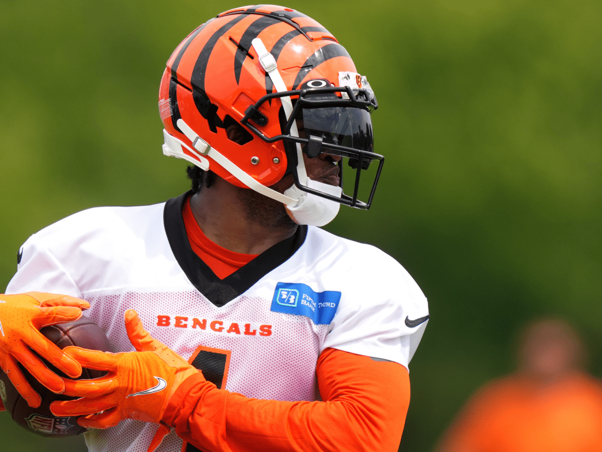 NFL Execs aren't a fan of Bengals' front office - Cincy Jungle