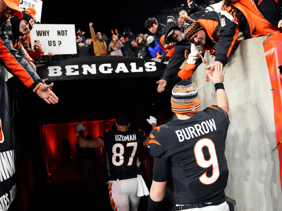 Cincinnati Bengals fans not ranked in 2017 Fandom 250