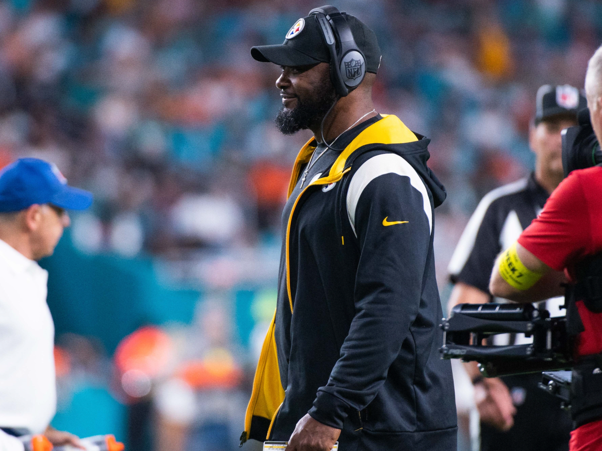 Here's Mike Tomlin punching a dolphin. Inspired by the AI generated Steelers  v Dolphin pic thread and Mike Tomlin day : r/steelers