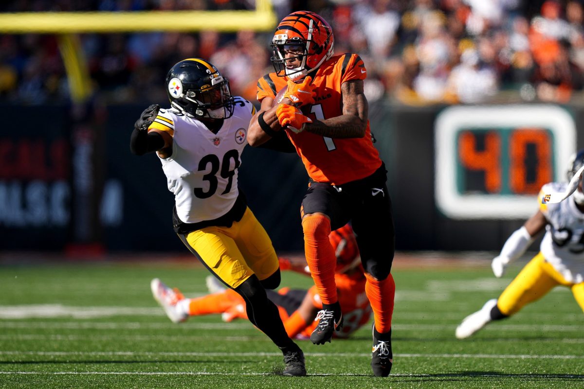 Pittsburgh Steelers vs Cincinnati Bengals Week 12 NFL Game Preview