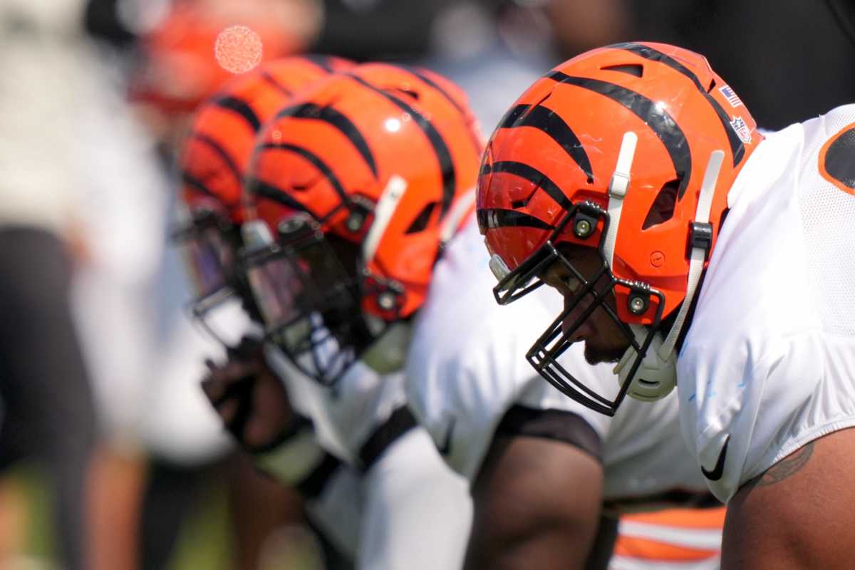 Cincinnati Bengals 2018 Season Recap