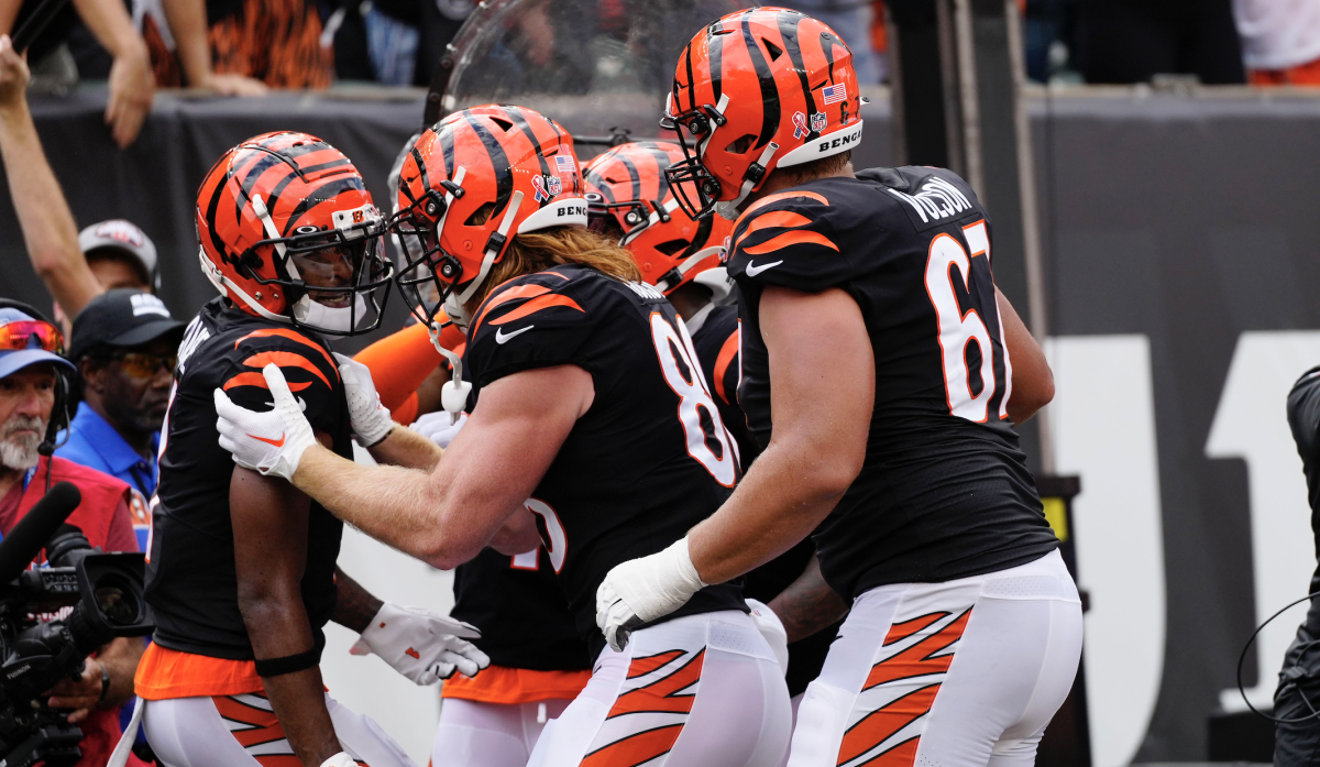 Cincinnati Bengals fans confident team will continue to win