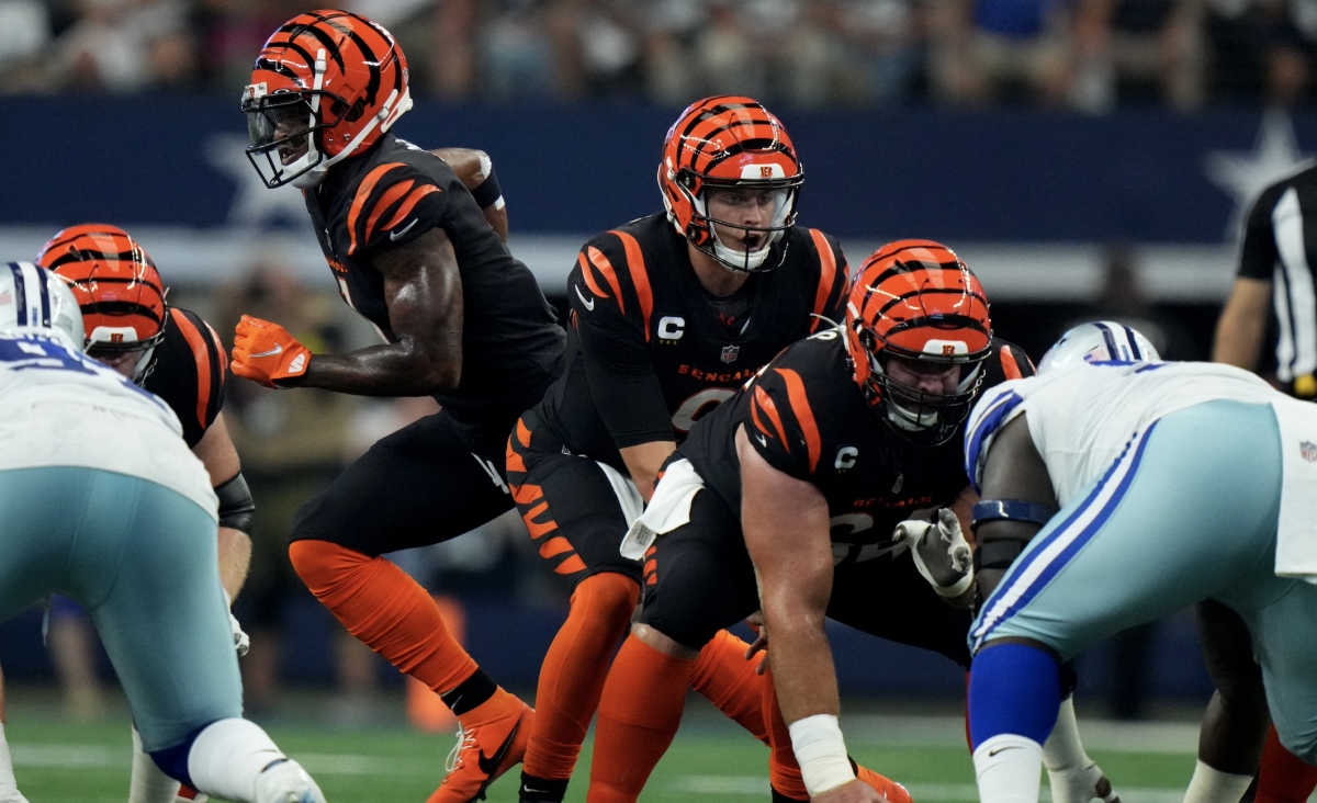 The Cincinnati Bengals Are Going to the Super Bowl, Baby!, Sports &  Recreation, Cincinnati