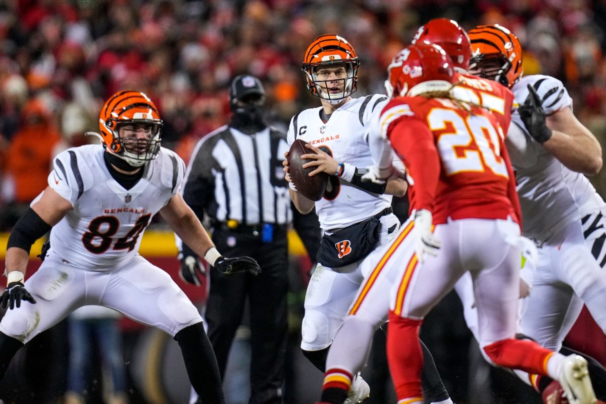 Cincinnati Bengals' quarterback Joe Burrow (9) drops back against