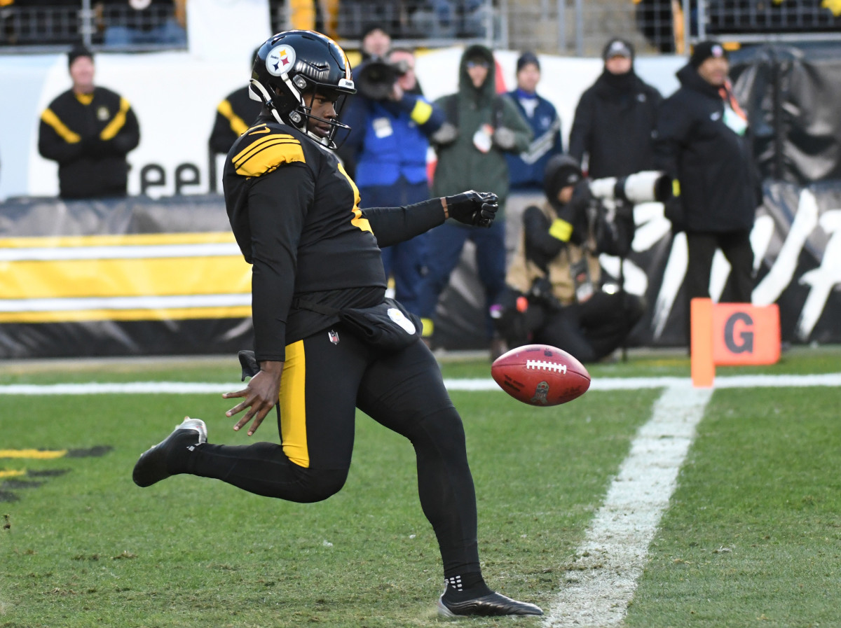 Humbled Vick at peace in reserve role with Steelers, Sports