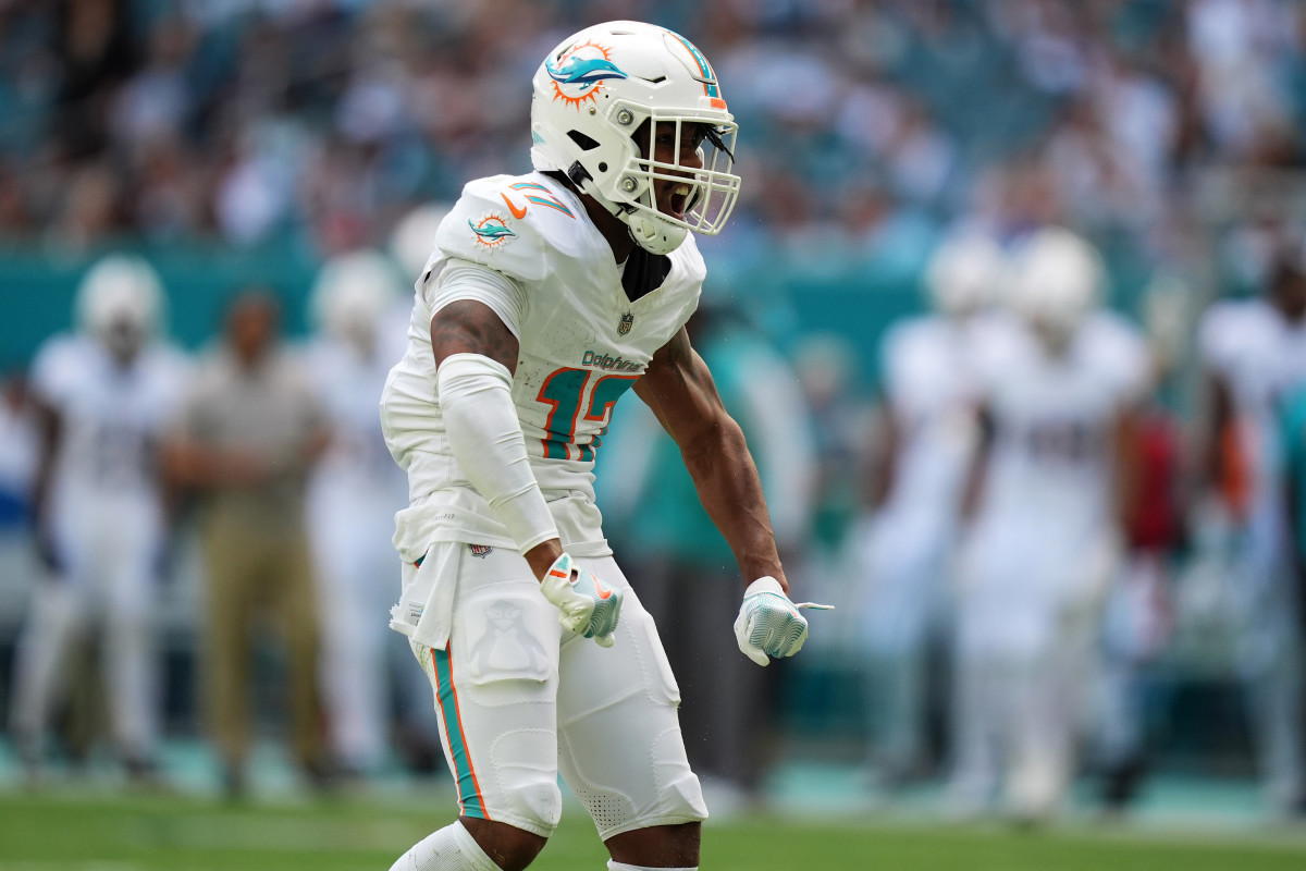 Nov 24, 2024; Miami Gardens, Florida, USA; Miami Dolphins wide receiver Jaylen Waddle (17) reacts after getting a first down during the first half against the New England Patriots at Hard Rock Stadium.