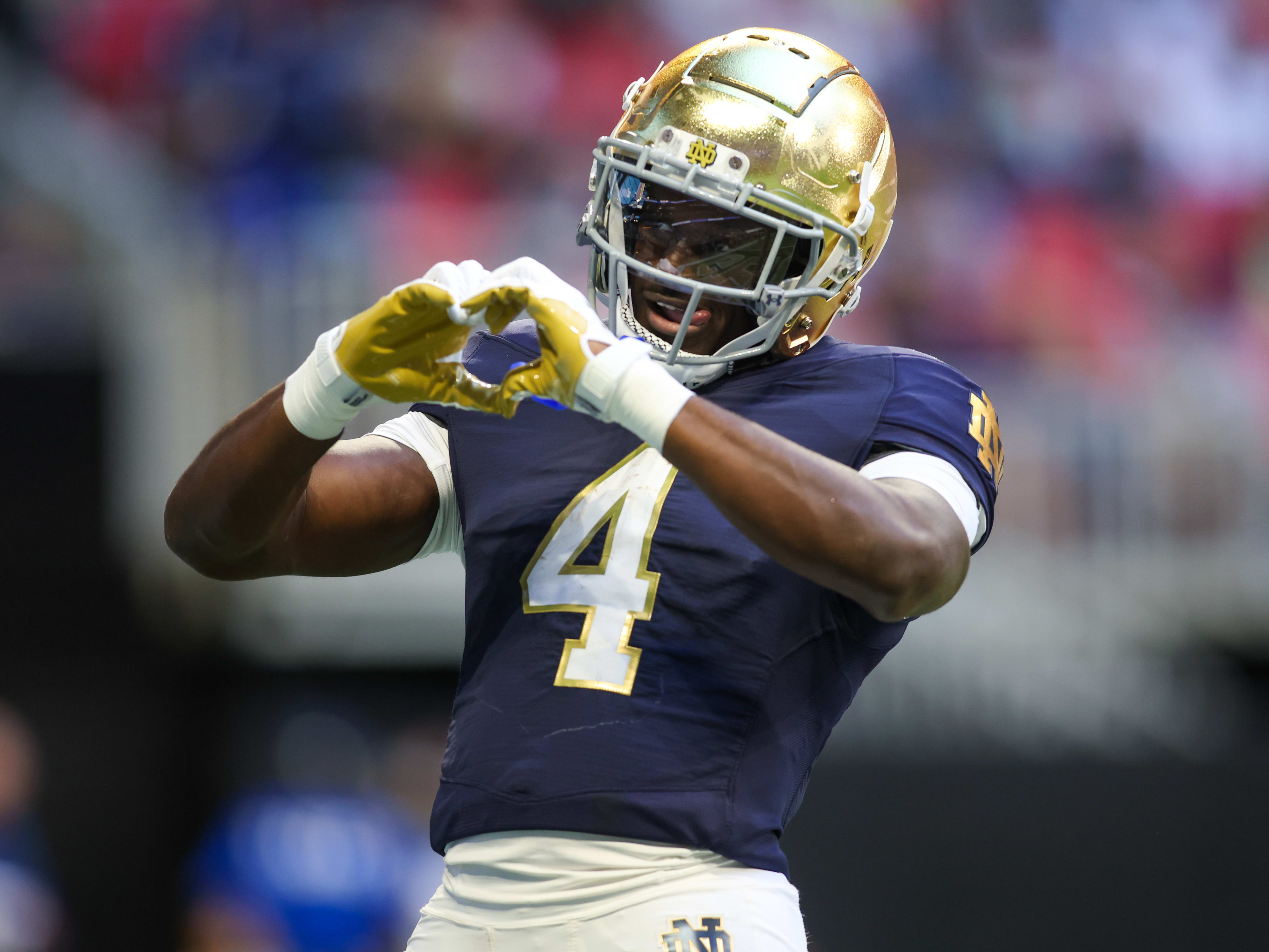 Champion Notre Dame Fighting Irishフットボール Champion Notre Dame Fighting Irishフットボール