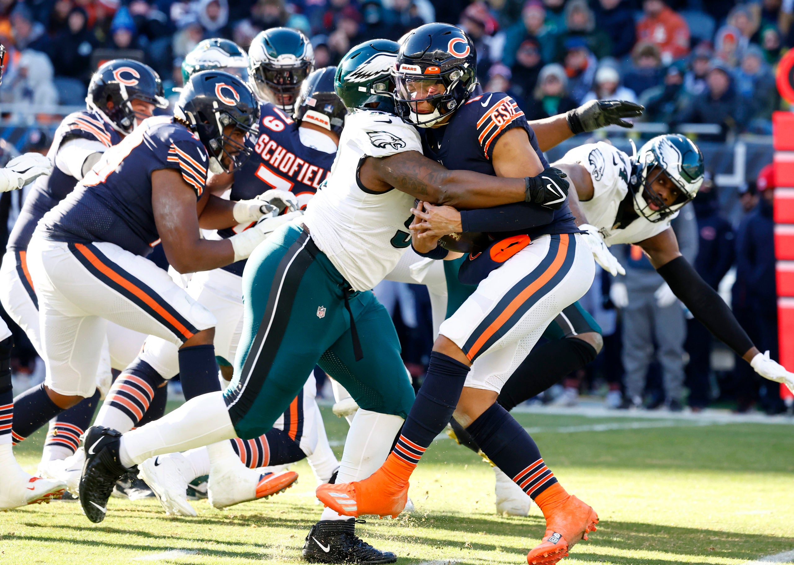 Fields, Eagles, bears