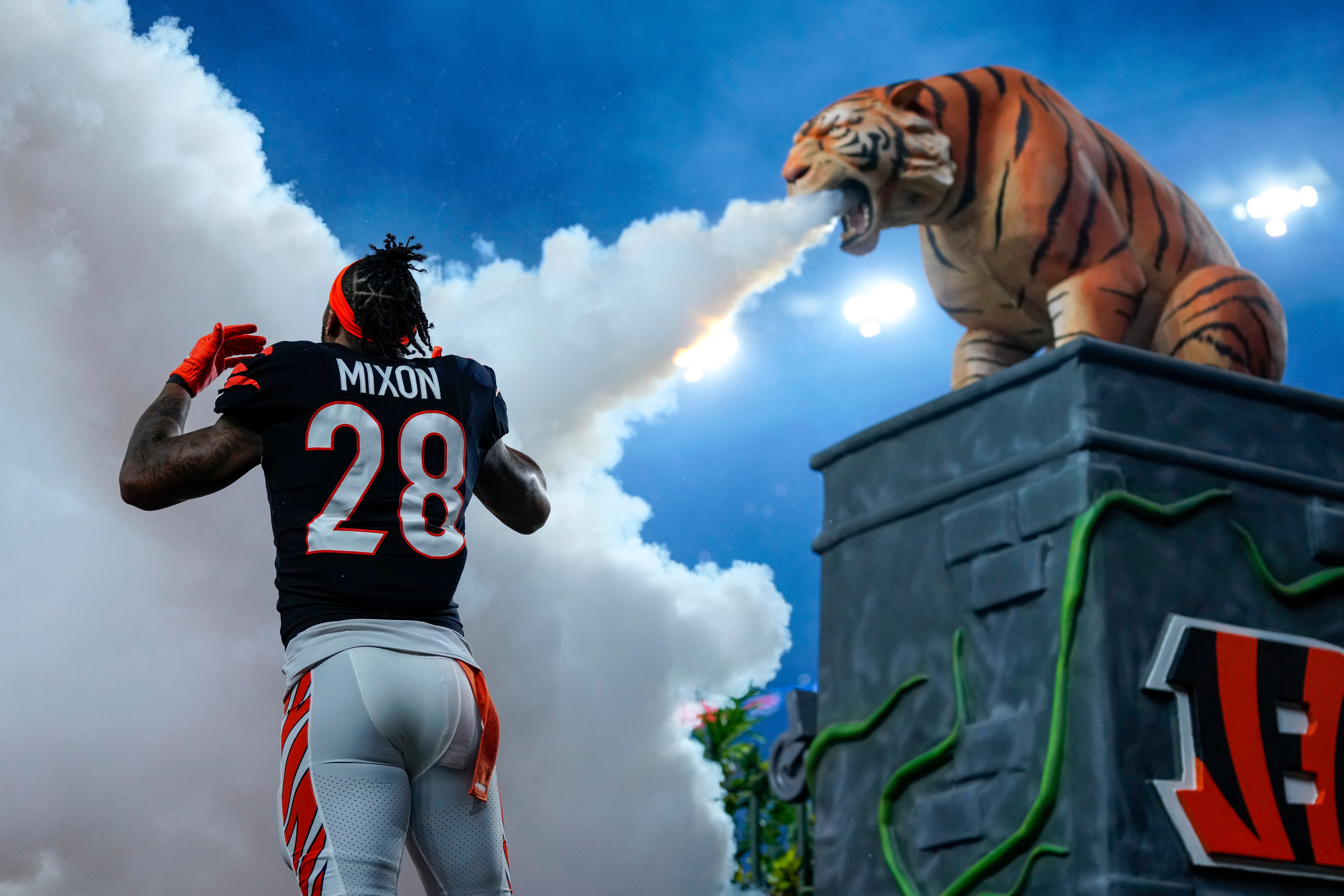Cincinnati Bengals